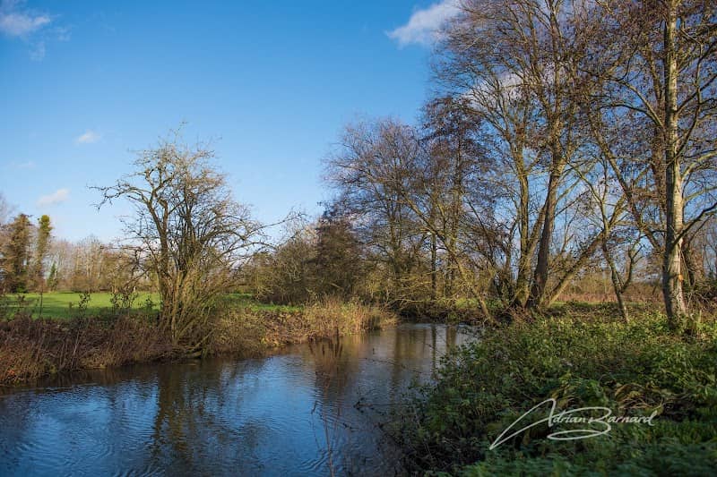 The Pennings - Image 1