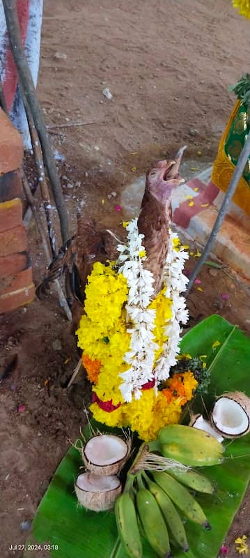 ஸ்ரீ மூனிஸ்வரர் திருக்கோவில் - Image 1