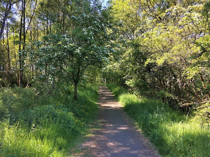 Gartcosh Local Nature Reserve - Image 1