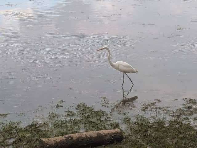 Roswell Riverwalk Parking - Image 2