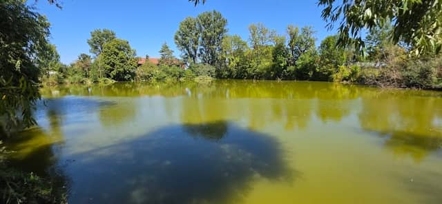 Kaltenhofer See - Kaltenhof Teich - Image 1