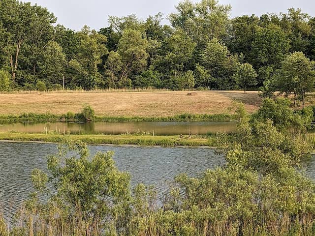 Fairhope Nature Preserve - Image 2