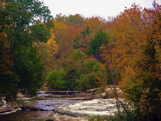 Charles F. Ladd Nature Preserve - Image 2