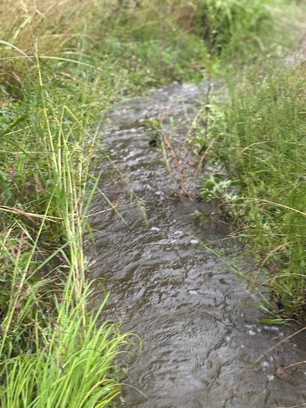 Stefano’s creek - Image 2