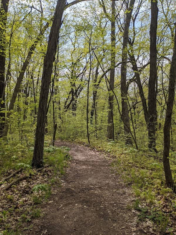 Ice Age Trail - Milwaukee River Segment - Image 1