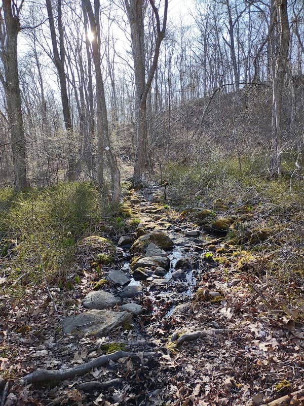 Grills Wildlife Sanctuary, Hopkinton - Image 1