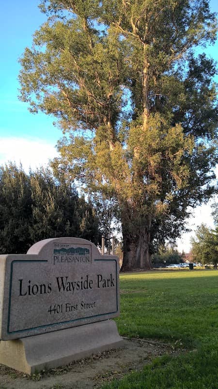 Lions Wayside Park - Image 2