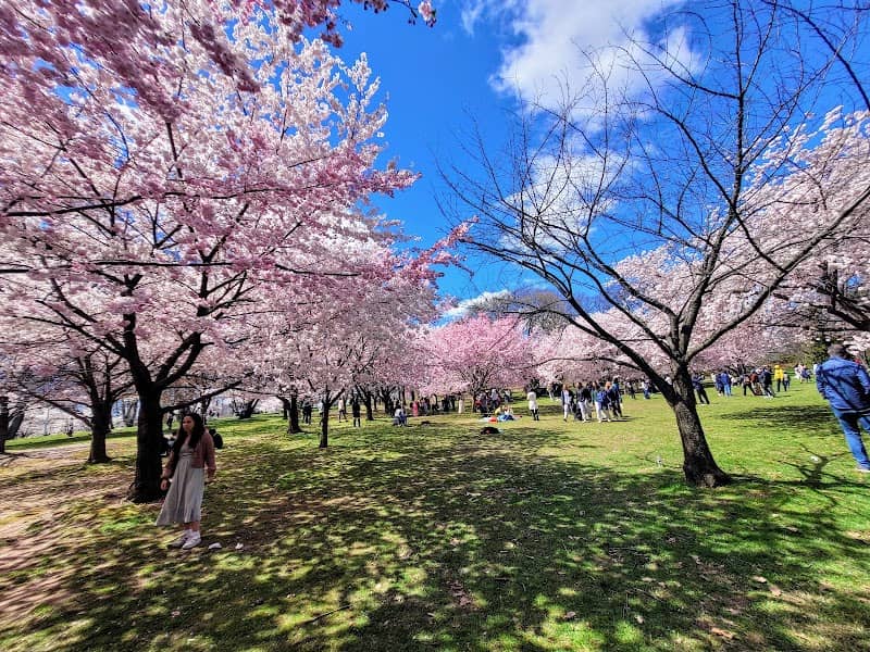 Branch Brook Park - Image 4