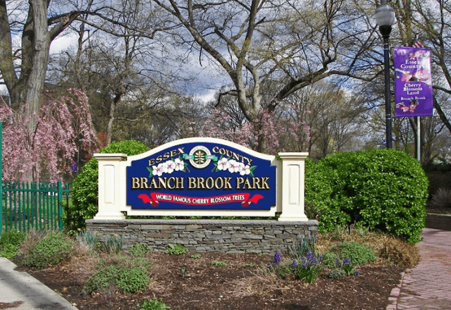 Branch Brook Park - Image 5