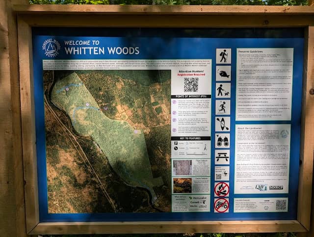 Whitten Woods (middle road entrance) - Image 1