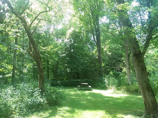 Garbry Big Woods Reserve - Image 1