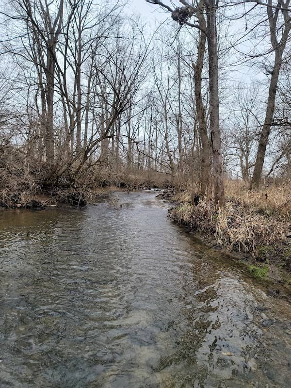 Garbry Big Woods Reserve - Image 2
