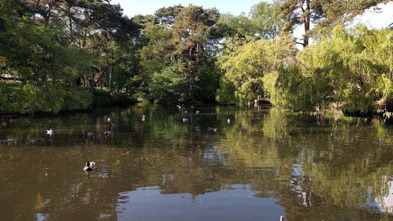 Coy Pond - Image 1