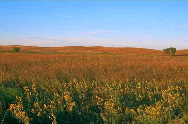 Mound Spring Prairie Scientific and Natural Area (SNA) - Image 2