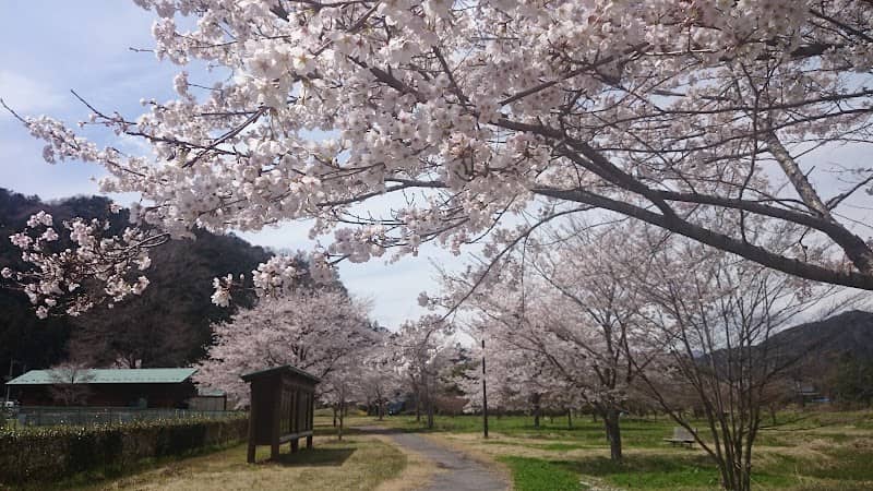 Shimozawahikitanoson Park - Image 1