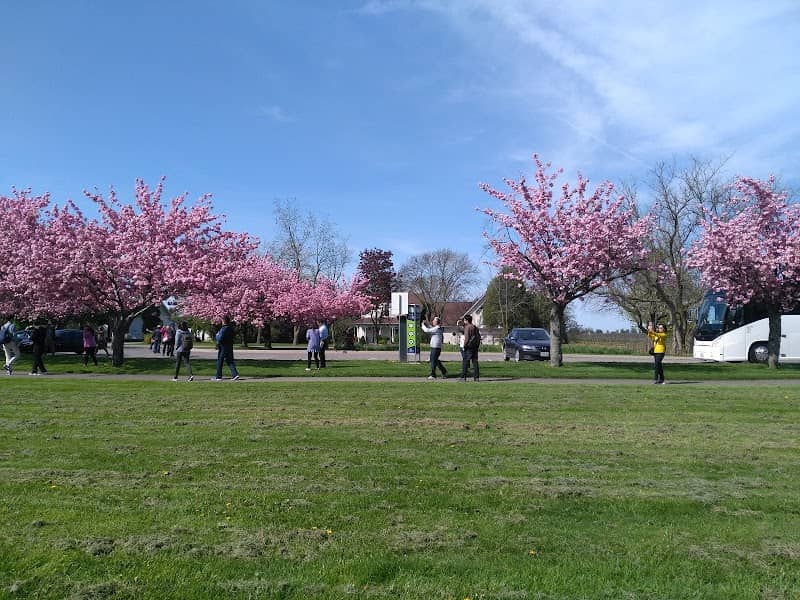 McFarland Park Picnic Pavilion - Image 2