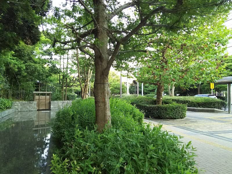シンボルロード - Image 2
