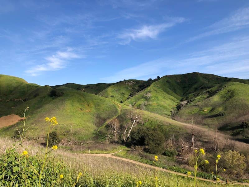 Chino Hills State Park - Image 2