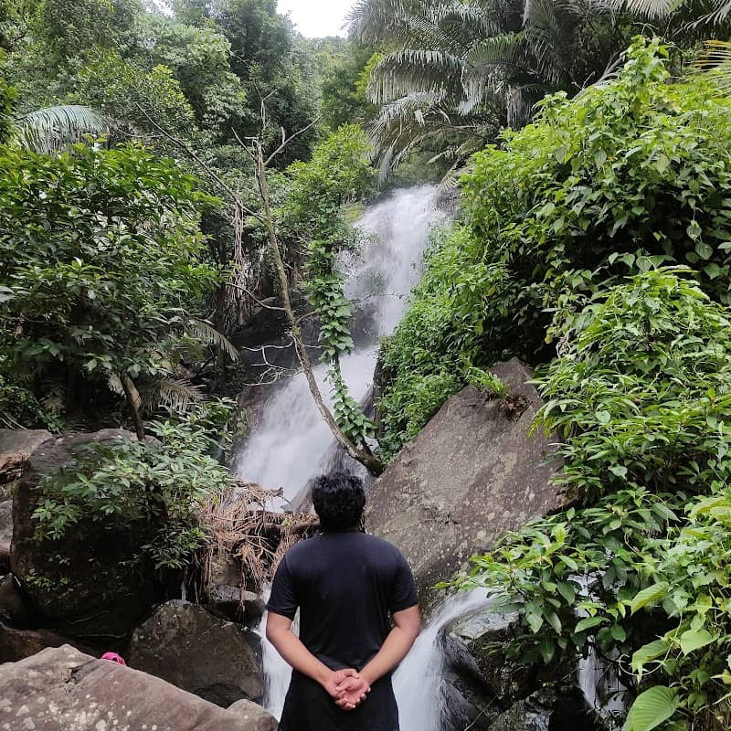 Vattappara Waterfalls - Image 1