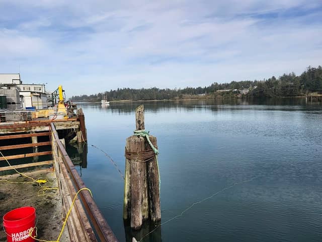 Charleston Park Pier - Image 2