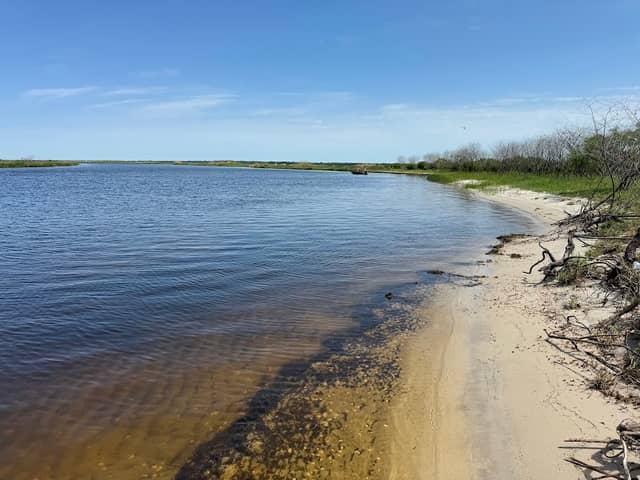 Bayou Lacombe Beach - Image 3