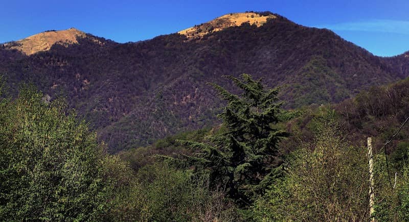Via per Belvedere monte Scioscia - Image 2