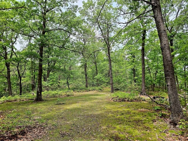 Rocco's Loop Trail - Image 1