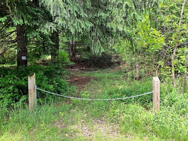 Rocco's Loop Trail - Image 2