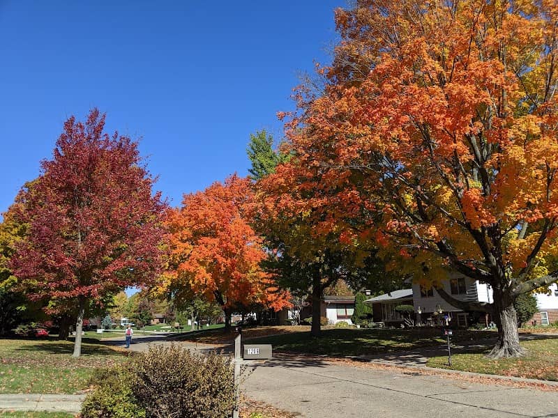 Mayfair Park - Image 1
