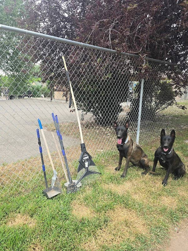 Dog Park - Image 2