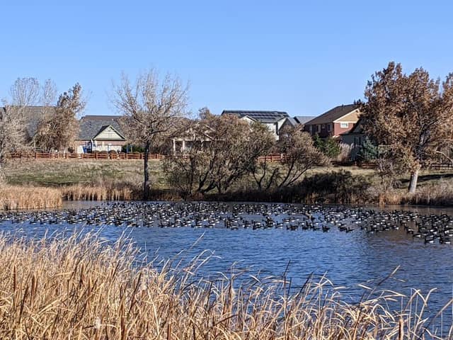 Marshall Lake - Image 2