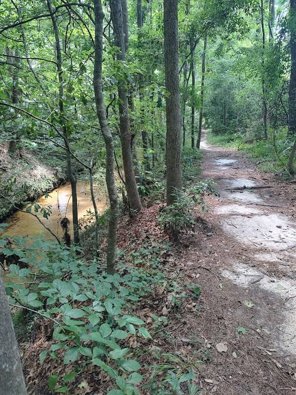 Fern Trail Trailhead - Image 1