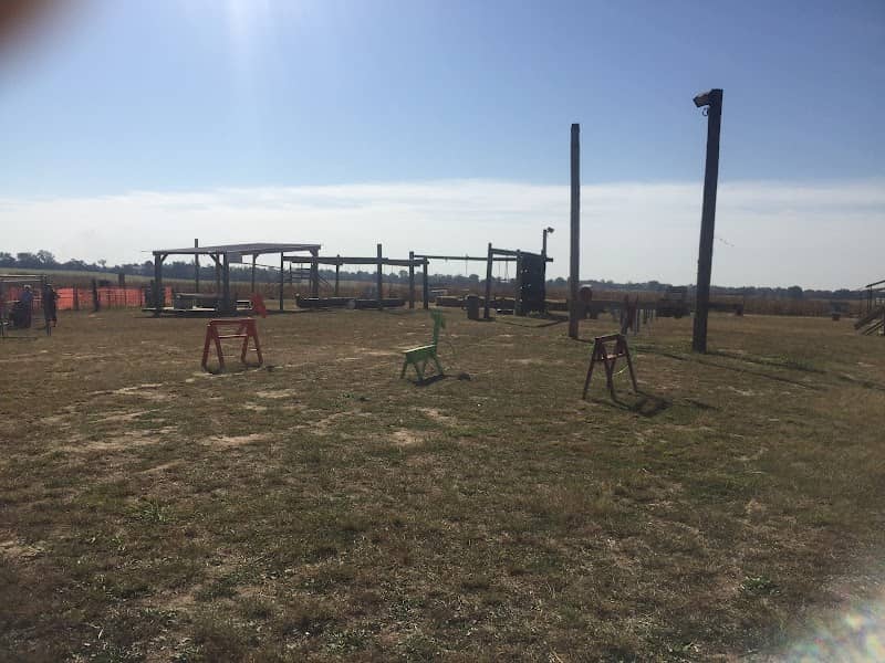 Todd Family Fun Farm & Corn Maze - Image 2