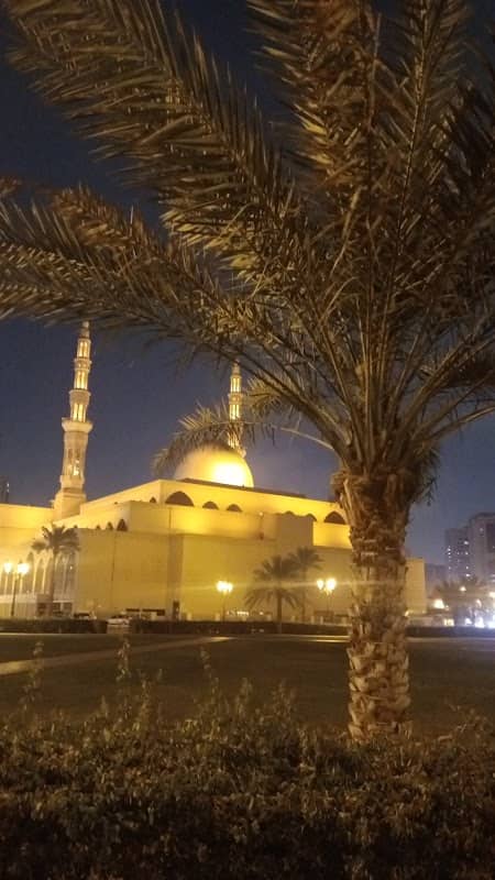 King Faisal Square - Image 2
