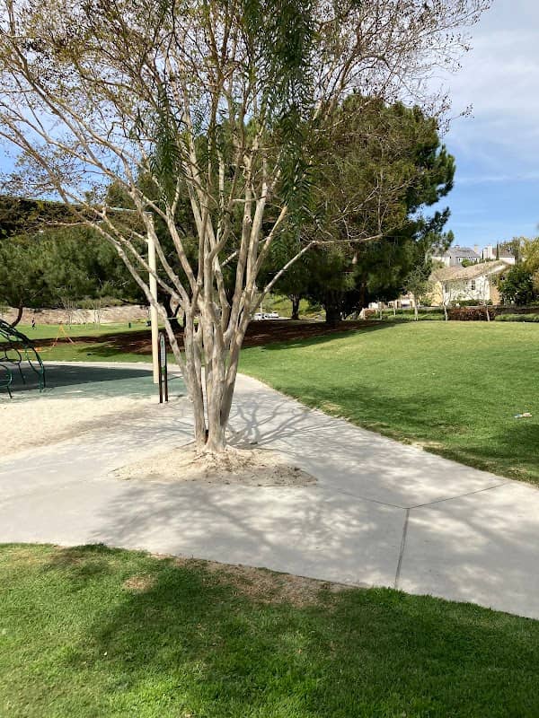 Oak Park - Image 2