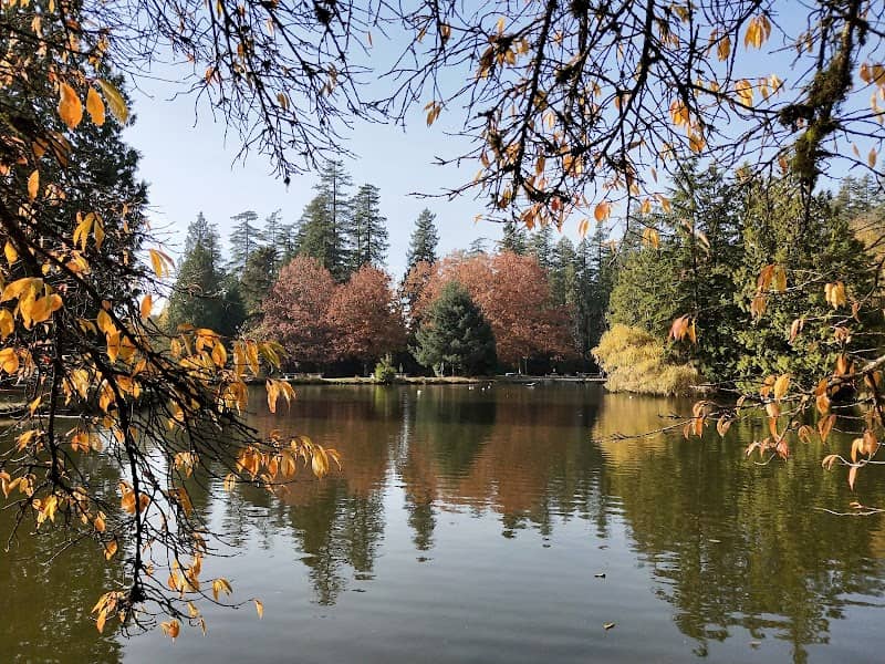 Central Park - Image 1