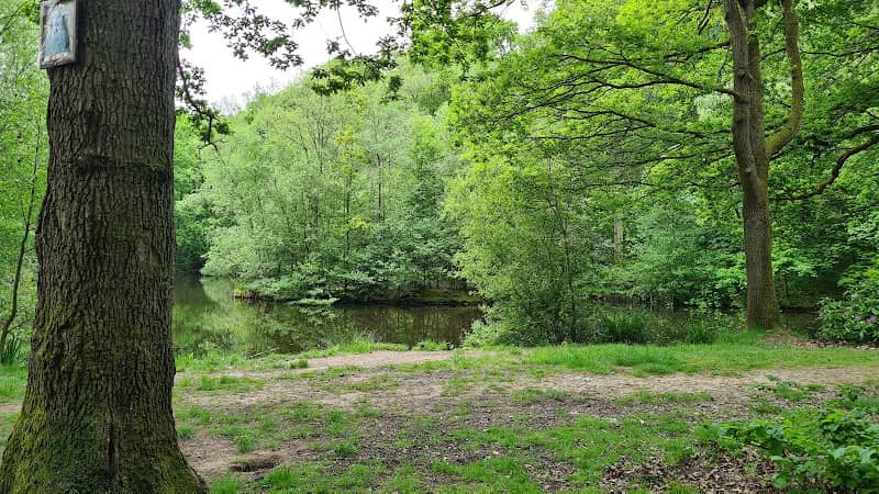 Southcrest Wood - Image 2