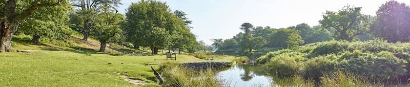 Bradgate Park - Image 1