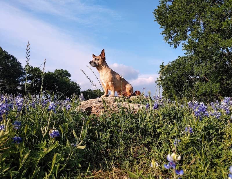 Forrest grove park - Image 1