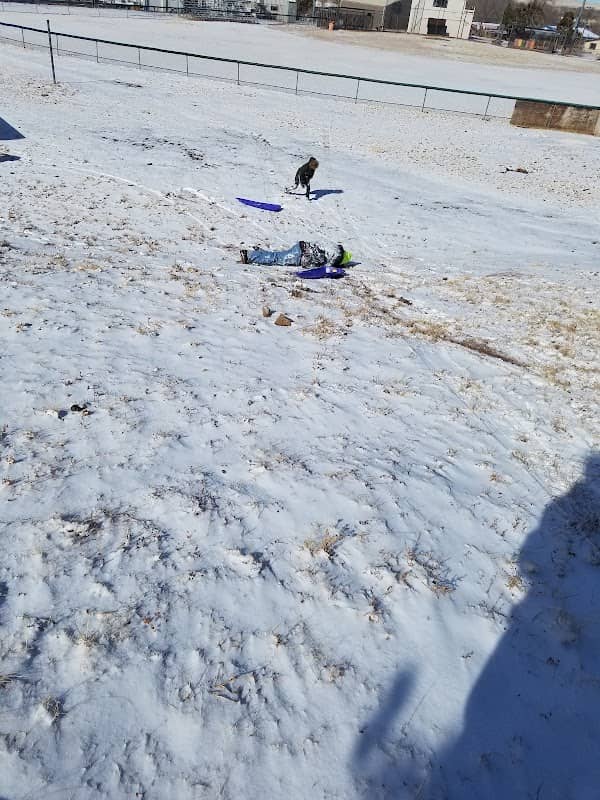 Springerville Park - Image 2