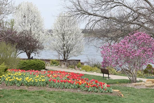 Lake Shawnee - Image 2