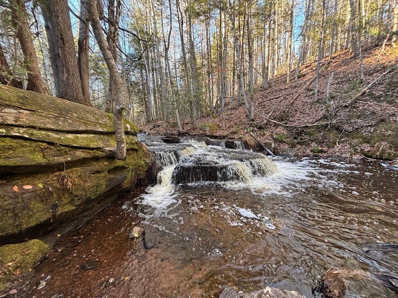 O’Leary Brook Falls - Image 1