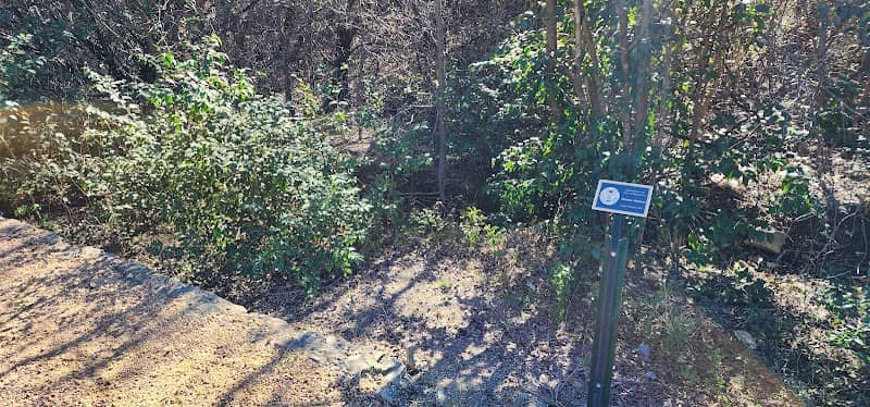 Shady Park - Image 2