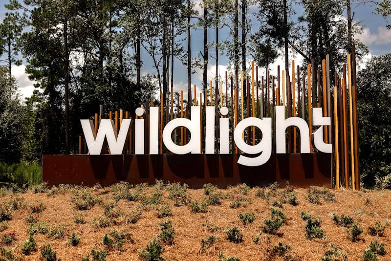 Wildlight - Image 2