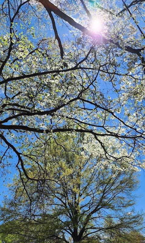 Courtland Park and Bird Sanctuary - Image 2