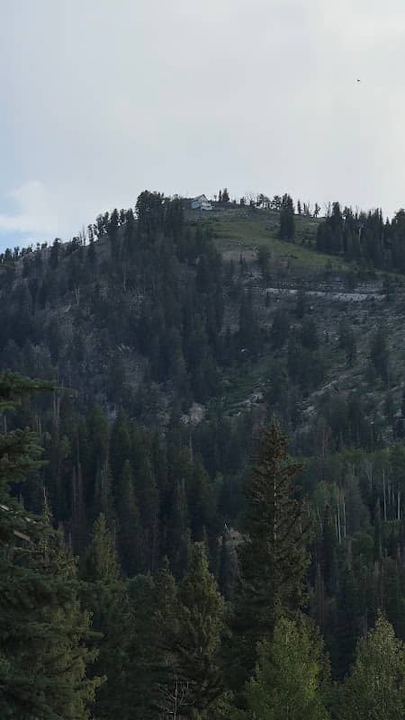 APEX EXPRESS Chair BASE - Image 1