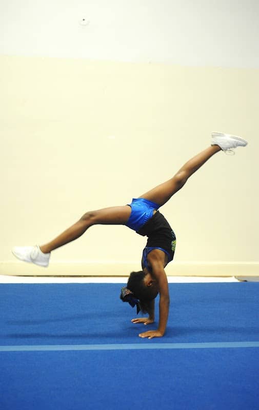 Tumble-N-Roll - Image 3