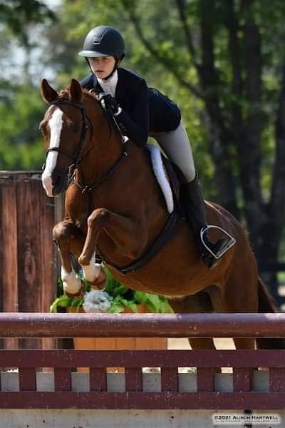 Fox Pointe Farm LLC - Image 2