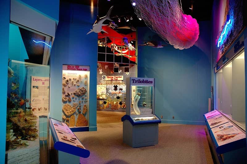Illinois State Museum - Image 2