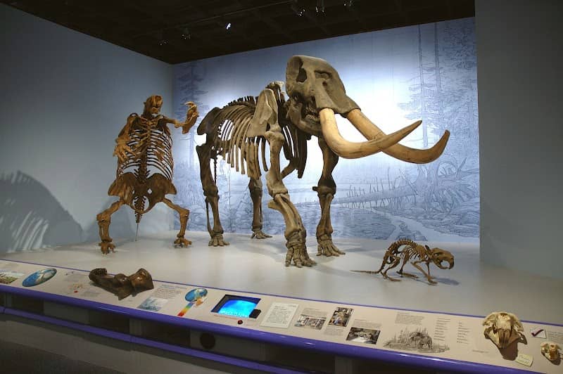 Illinois State Museum - Image 1